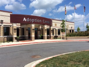 MoCo Animal Services and Adoption Center