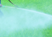 lawn being treated with chemicals