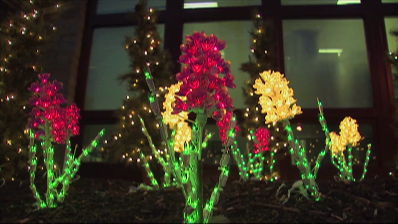 Brookside Gardens Is Aglow With Lights Video Montgomery