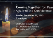 rally_to_end_gun_violence[1]