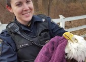 Officer Gill and Trust, the bald eagle
PHOTO | MCPD