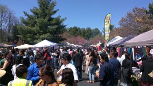 Cambodian New Year Festival