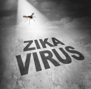 Zika virus risk symbol as the shadow of a disease carrying mosquito forming text that represents the danger of transmitting infection through bug bites resulting in zika fever.