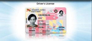 MVA Drivers License 1