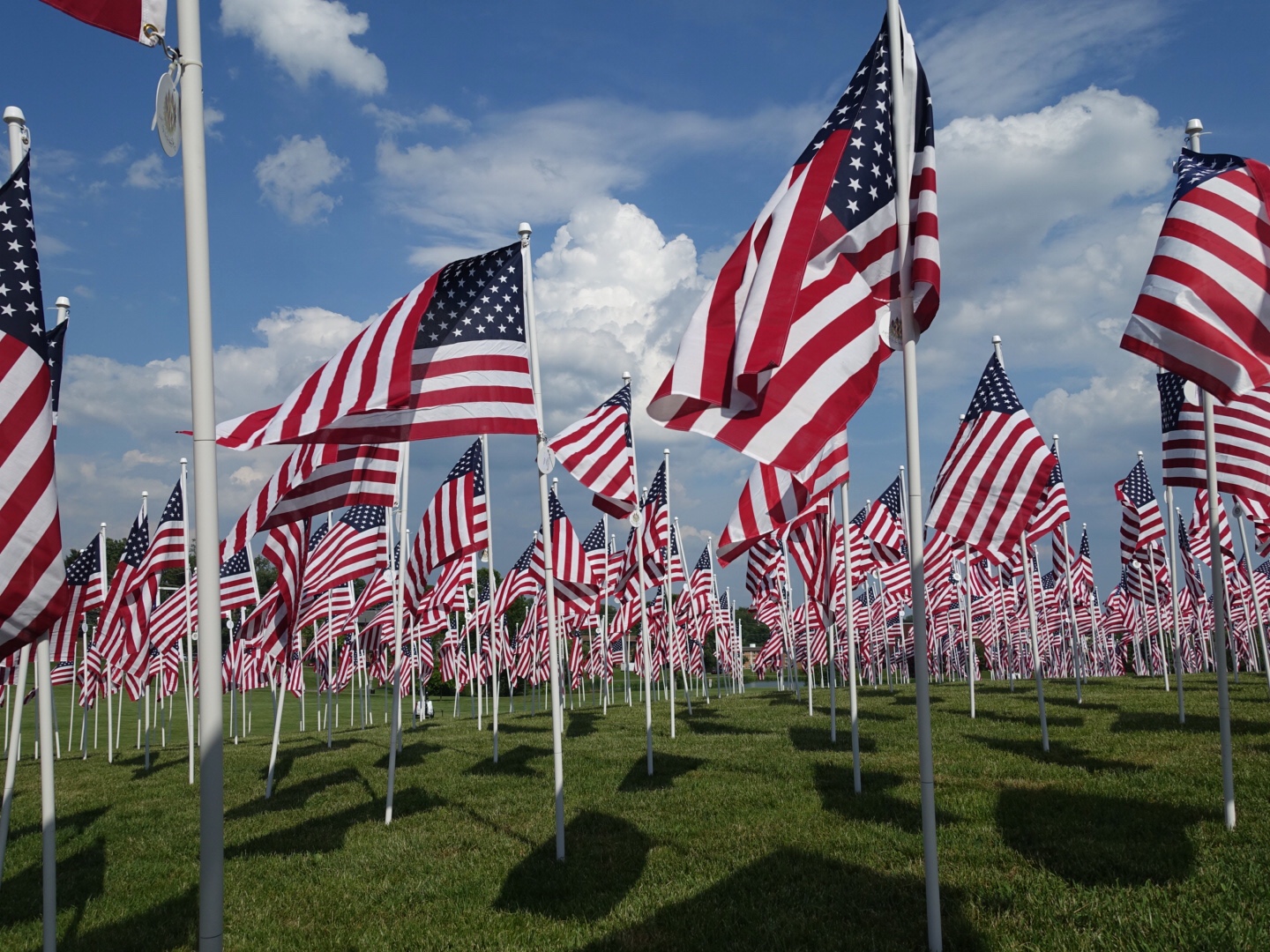 Flags For Our Heroes Returns To Gaithersburg S Bohrer Park This Memorial Day Weekend Montgomery Community Media,60th Wedding Anniversary Gift Ideas For Grandparents