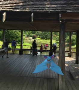 Pokemon Go Zubat at Japanese Tea House at Brookside Gardens