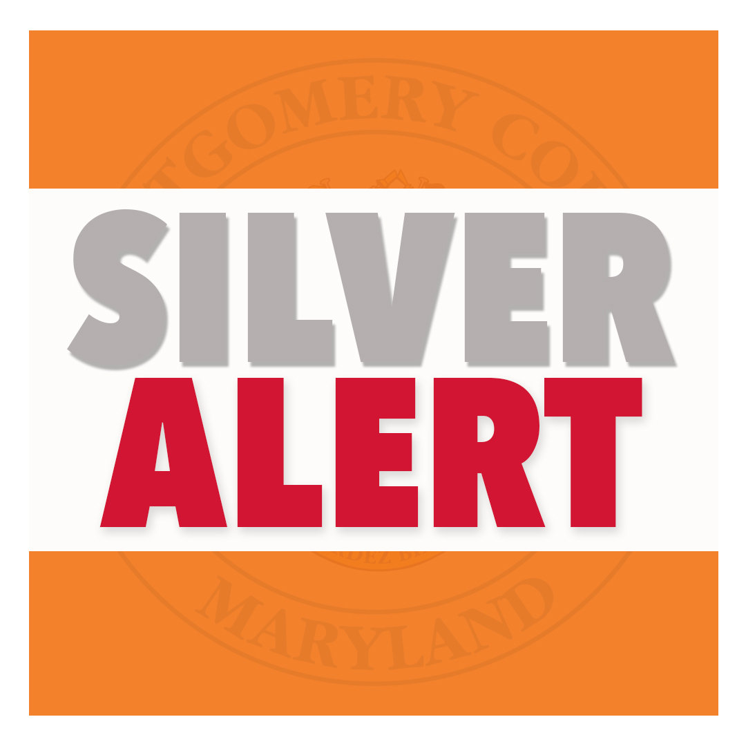 what is silver alert        <h3 class=