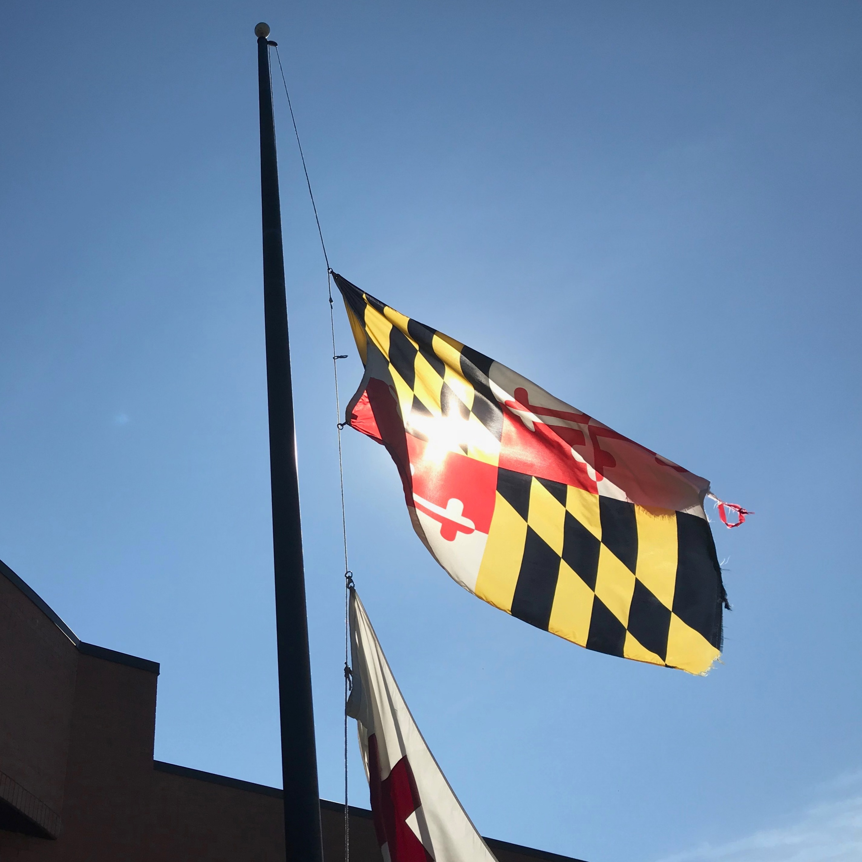 annapolis flag