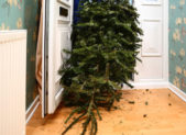 featured image - recycle christmas tree christmas tree going out the door