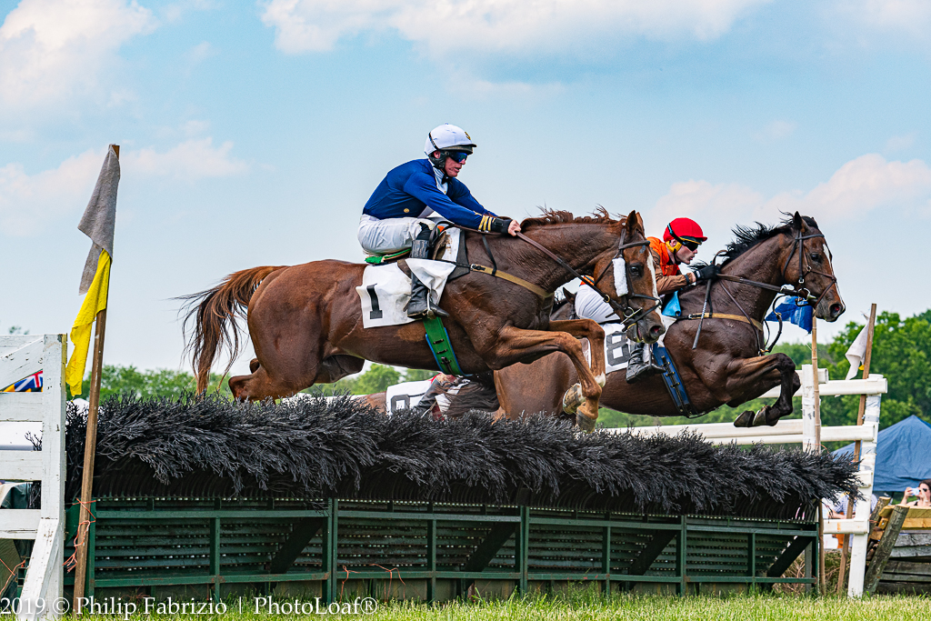 67th Annual Potomac Hunt Races | Montgomery Community Media