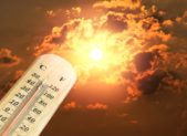 feature heat wave weather thermometer-with-hot-temperature-weather-picture-id866601416