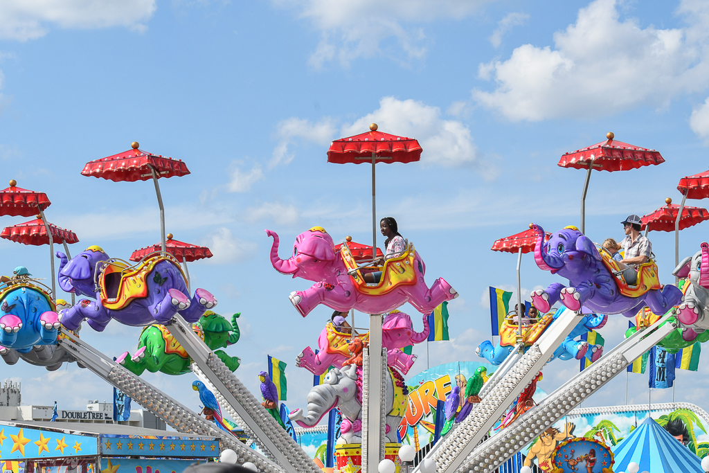 Montgomery County Fair Returns in August With Rides, Animals, and