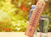 Featire heat wave hyperthermia alert thermometer-on-summer-day-showing-near-45-degrees-picture-id483631780 (1)