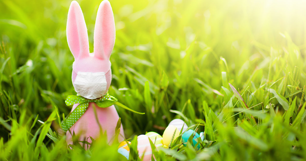 Download Hogan Makes Easter Bunny 'Essential Worker' in Maryland ...