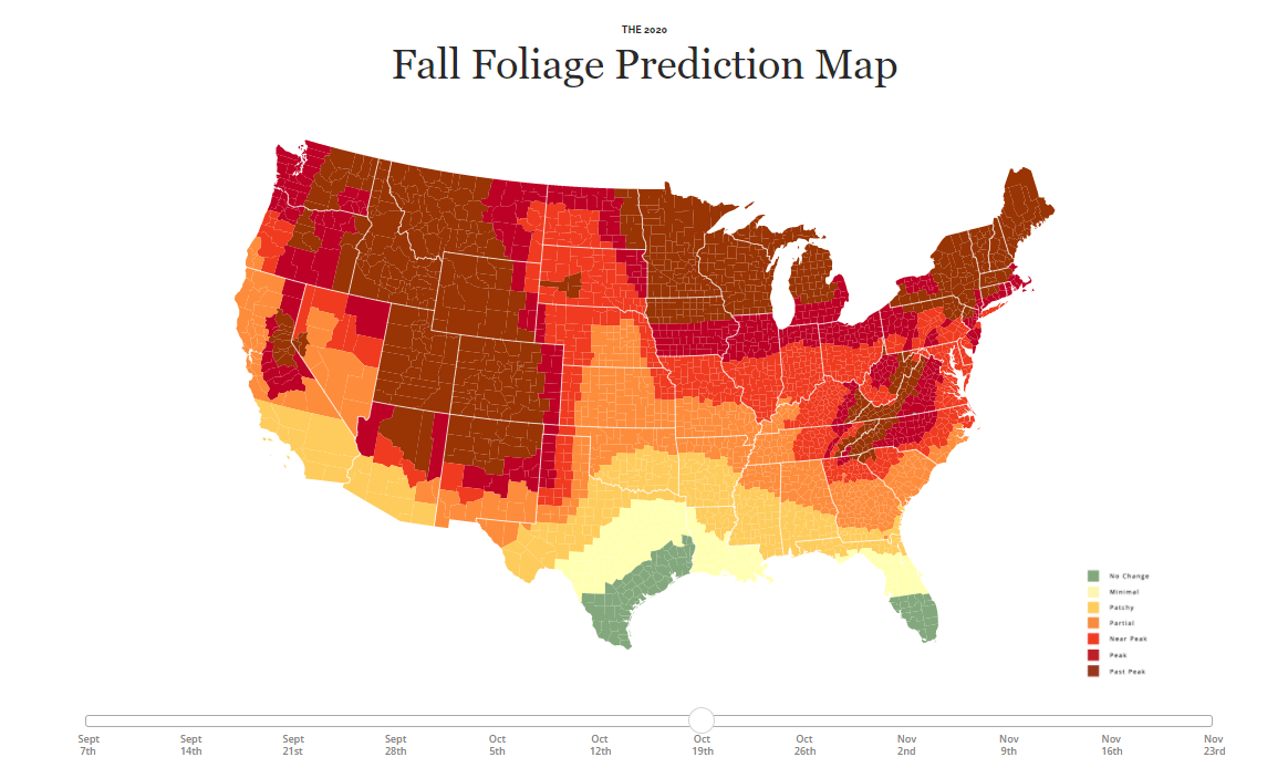 fall foliage prediction map Montgomery Community Media