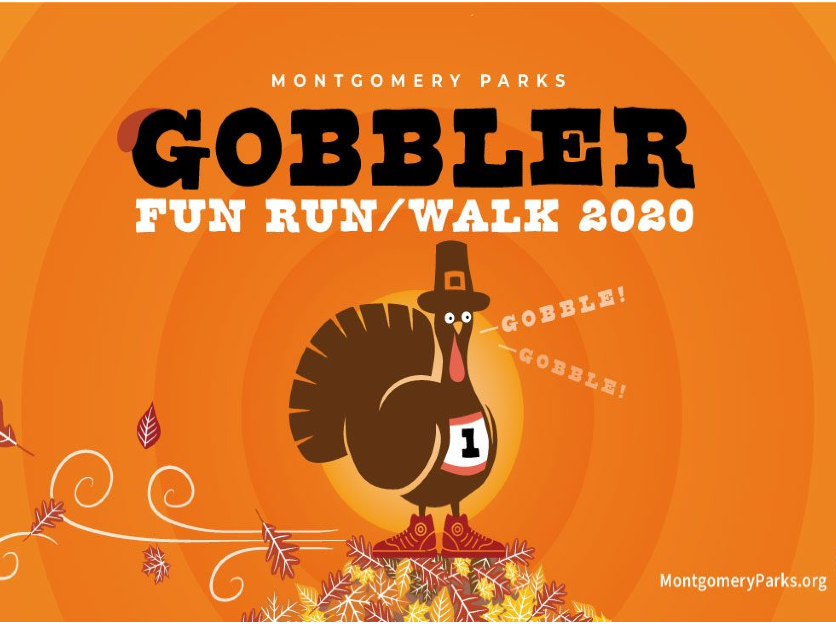 feature Montgomery Parks Gobbler Fun Run Montgomery Community Media