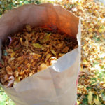 What Happens to Your Leaf Piles After They Get Taken Away?