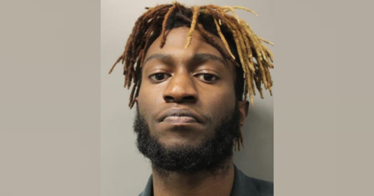 Hillandale Man Charged with First-Degree Murder | Montgomery Community Media - Vimarsana News