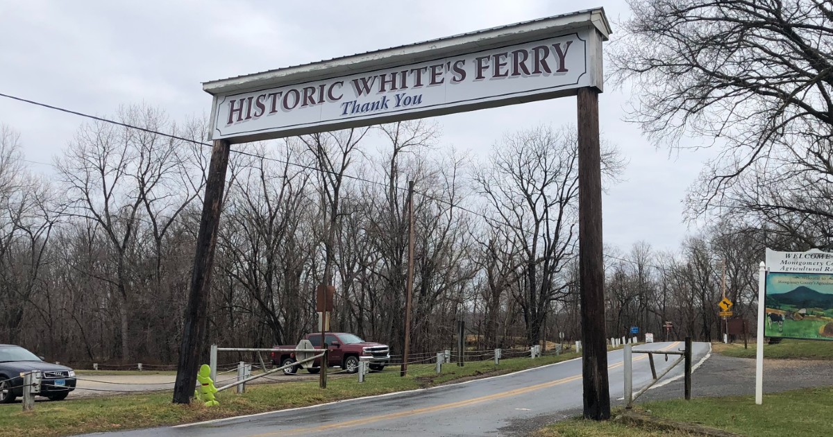 White's Ferry Purchased Following Service Shutdown; New Owner Plans to Resume Service - Vimarsana News