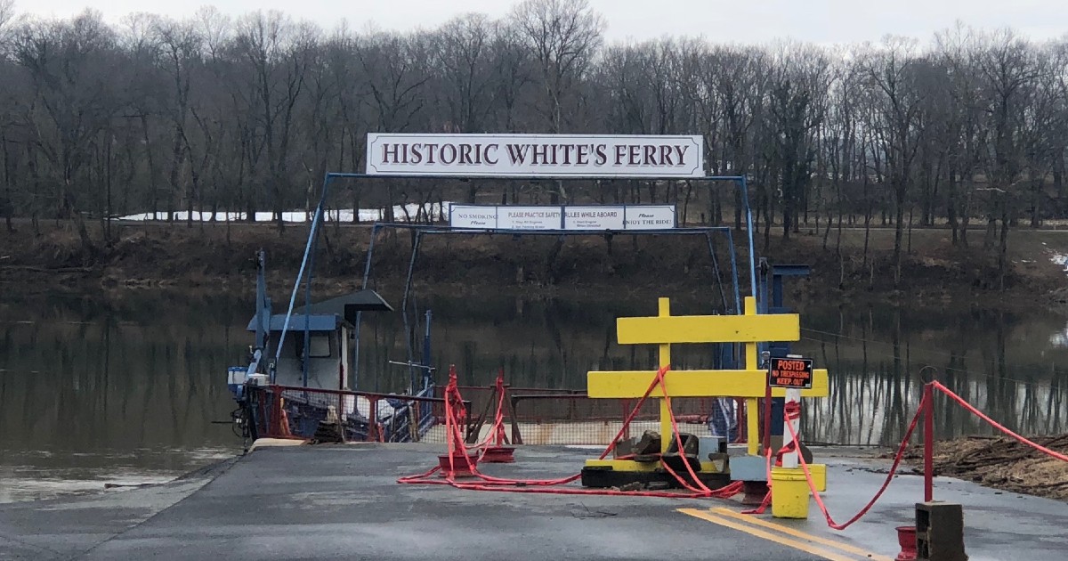 Following Legal Dispute, White's Ferry Purchased by Virginia Businessman - Vimarsana News