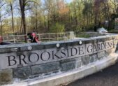 brookside-feature