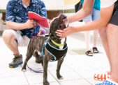 Montgomery County’s Animal Services and Adoption Center Ends COVID Restraints Julia Nikhinson/MCMedia